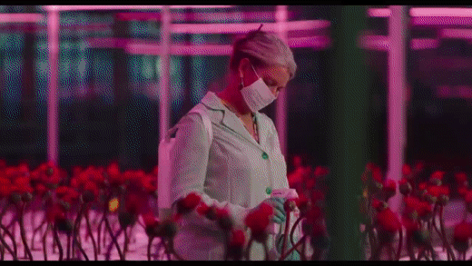 Little_Joe_-_Official_Trailer